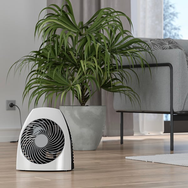 Een blaasradiator voor een plant in een woonkamer