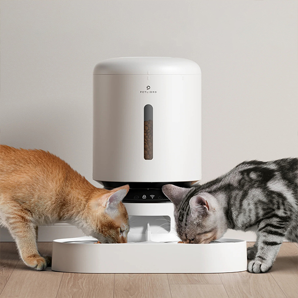 Un distributeur de croquettes automatique avec deux compartiments, un pour chaque chat