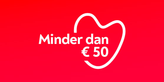 Selectie cadeaus onder de 50 euro