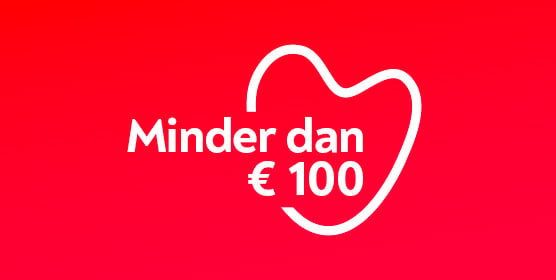 Selectie cadeaus onder de 100 euro