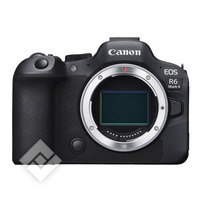 CANON EOS R6 MARK II BODY