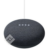 GOOGLE NEST MINI ANT + TAPOP100