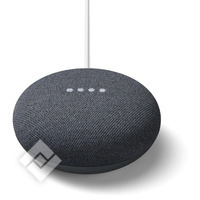 GOOGLE Nest Mini Charbon