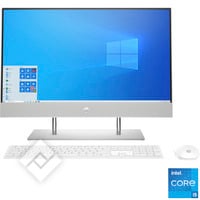 HP ALL-IN-ONE 24-DP1017NB