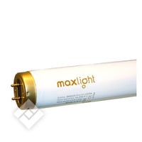 MAXLIGHT 100W HIGH INTENSIVE 1.76M