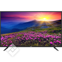 PROLINE LED UHD 4K 43 INCH L4320UHD (2023)