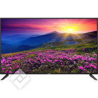 PROLINE UHD 4K 50 INCH L5020UHD (2023)