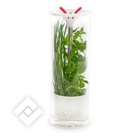 VERITABLE GLASS HERB KEEPER