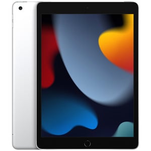 APPLE iPad (2021) 10.2 pouces 256Go Wi-Fi + 4G Silver