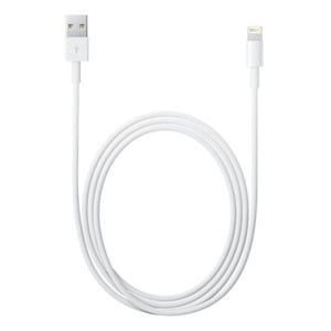 APPLE USBA-LIGHT CABLE 1M