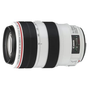 CANON EF 70-300MM f/4.0-5.6 L IS USM