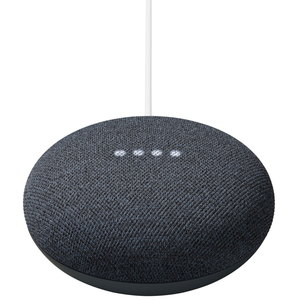 GOOGLE NEST MINI ANT + TAPOP100