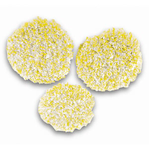 KARCHER POLIERPADS/2.863-198