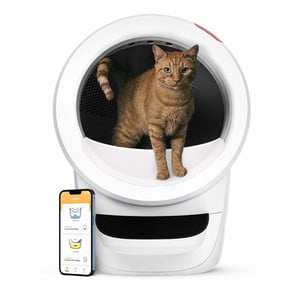 LITTER-ROBOT 4 WIT