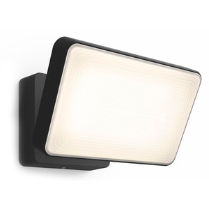 PHILIPS HUE PHILIPS HUE HUE WHITE/COLOR AMBIANCE DISCOVER FLOODLIGHT BLACK