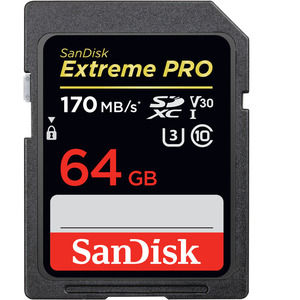 SANDISK SD EXT PRO 64GB V30