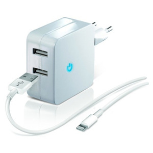 TEMIUM WALLCHARGER 2X LIGHT WHT