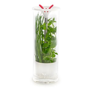 VERITABLE GLASS HERB KEEPER