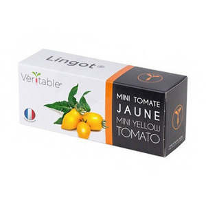 VERITABLE LINGOT MINI YELLOW TOMATO