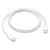 APPLE 60W USB-C CHARGE CABLE 1M