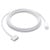 APPLE USB-C 2 MAGSAFE3 CABLE 2M