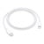 APPLE USBC-LIGHT CABLE 1M