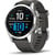 GARMIN FENIX 7S PRO SOLAR GLASS SILVER WITH GRAPHITE BAND