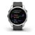 GARMIN Fenix 7S Stainless Steel Graphite Band