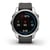 GARMIN Fenix 7S Stainless Steel Graphite Band