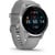 GARMIN VENU 2 PLUS POWDER GRAY PASSIVATED