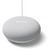 google-nest-mini-chalk