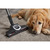 MIELE COMPLETE C3 CAT&DOG FLEX POWERLINE