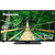 PANASONIC LED FULL HD 40 POUCES TX-40MS490 (2023)