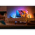 PHILIPS HUE HUE PLAY 2-PACK BASE WHITE