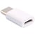 TEMIUM ADAPT USB/C WHITE