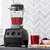 VITAMIX Explorian E310