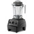 VITAMIX Explorian E310