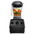 VITAMIX Explorian E310