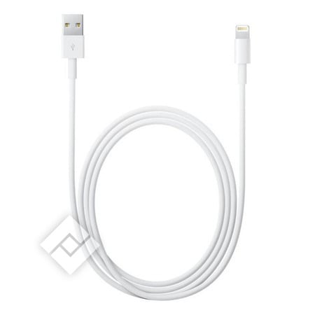 APPLE USBA-LIGHT CABLE 1M