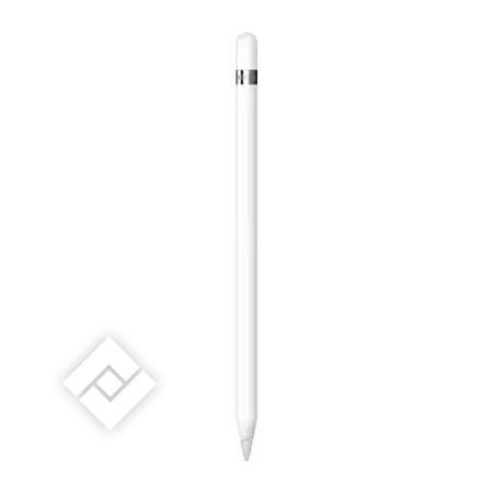 APPLE PENCIL USB-C