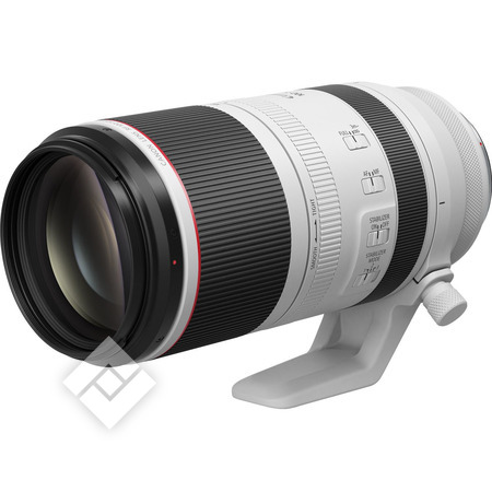 CANON RF 100-500MM f/4.5-7.1 L IS USM