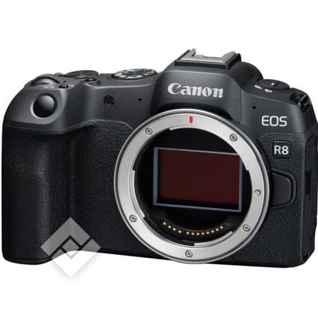 CANON EOS R8 BODY