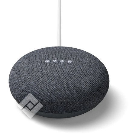 GOOGLE Nest Mini Charbon