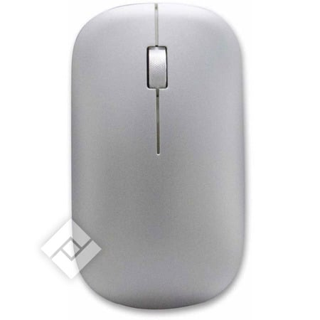 IT WORKS MOUSE SILVER BT & 2.4G