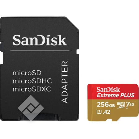 SANDISK MICROSDXC EXTR.PLUS 256GB