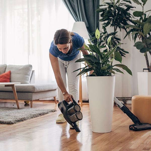 aspirateur-balai femme plante verte